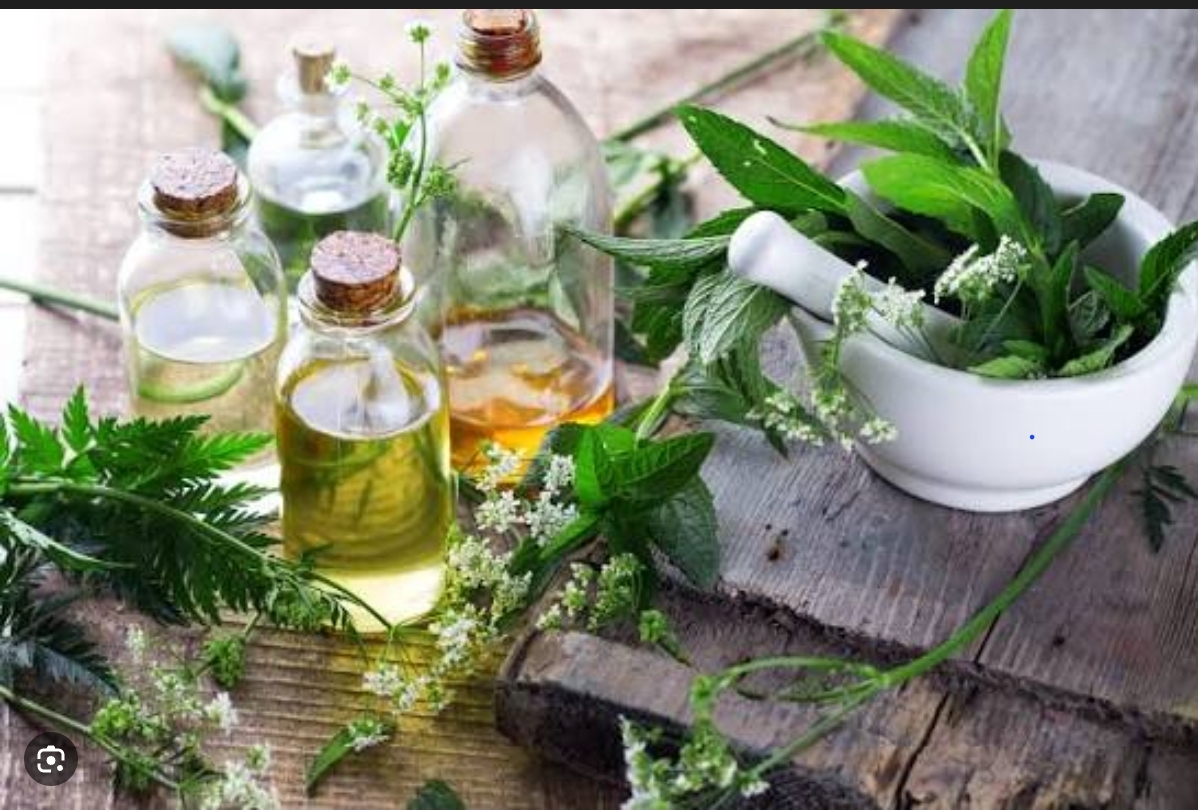 BACHELOR OF ALTERNATIVE MEDICINE AND SURGERY